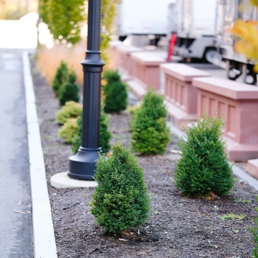 Landscaping outside an apartment building